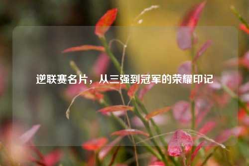 逆联赛名片,从三强到冠军的荣耀印记