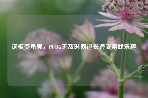 钢板变龟壳,PUBG无敌时间过长透支游戏乐趣