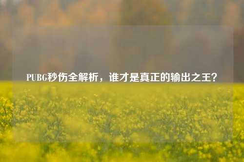 PUBG秒伤全解析,谁才是真正的输出之王?