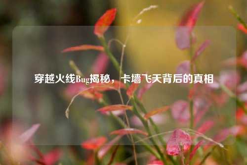 穿越火线Bug揭秘，卡墙飞天背后的真相