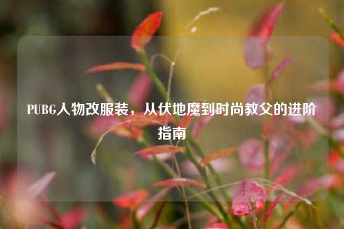 PUBG人物改服装,从伏地魔到时尚教父的进阶指南