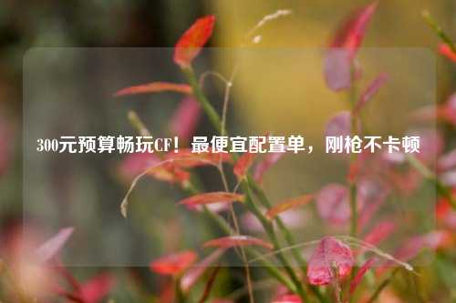 300元预算畅玩CF!最便宜配置单,刚枪不卡顿