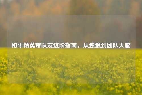 和平精英带队友进阶指南,从独狼到团队大脑