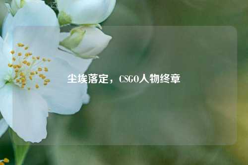 尘埃落定,CSGO人物终章