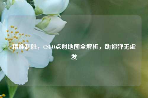 精准制胜,CSGO点射地图全解析,助你弹无虚发