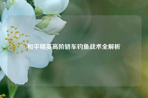 和平精英高阶轿车钓鱼战术全解析