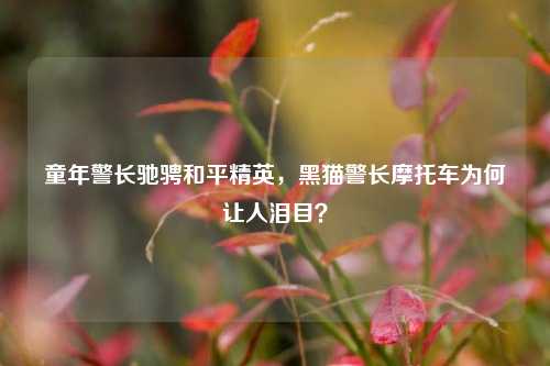 童年警长驰骋和平精英,黑猫警长摩托车为何让人泪目?