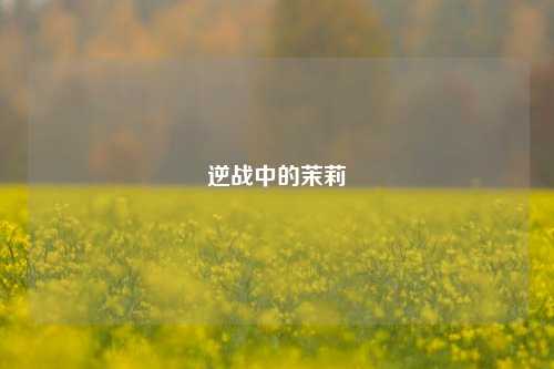 逆战中的茉莉