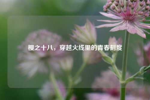 樱之十八,穿越火线里的青春刻度