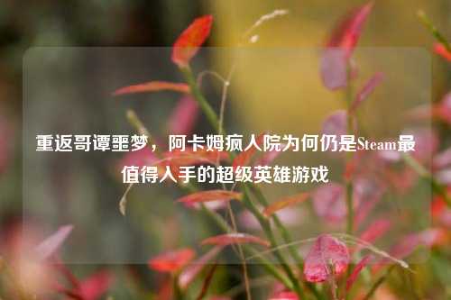 重返哥谭噩梦,阿卡姆疯人院为何仍是Steam最值得入手的超级英雄游戏