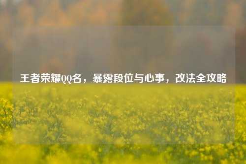 王者荣耀QQ名,暴露段位与心事,改法全攻略