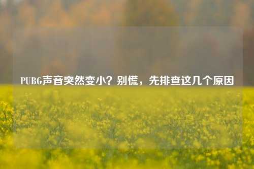 PUBG声音突然变小?别慌,先排查这几个原因