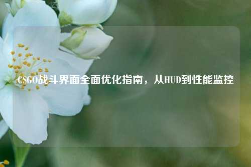 CSGO战斗界面全面优化指南,从HUD到性能监控