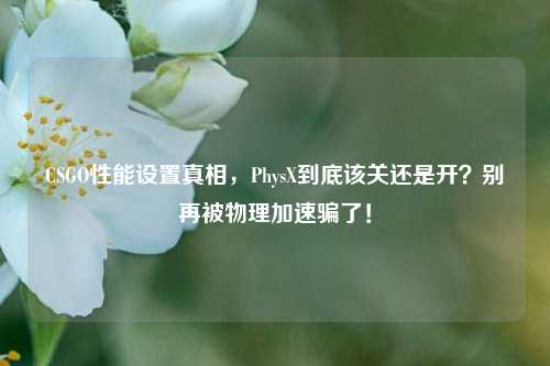 CSGO性能设置真相,PhysX到底该关还是开?别再被物理加速骗了!