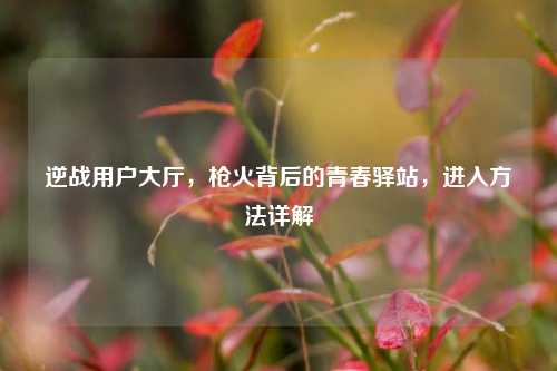 逆战用户大厅,枪火背后的青春驿站,进入方法详解