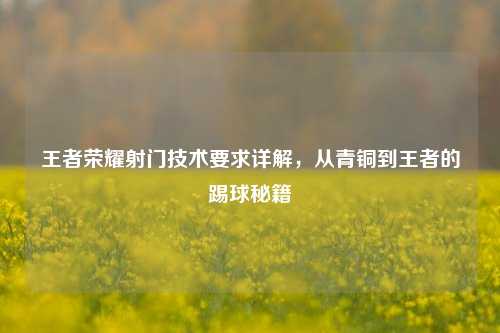 王者荣耀射门技术要求详解,从青铜到王者的踢球秘籍