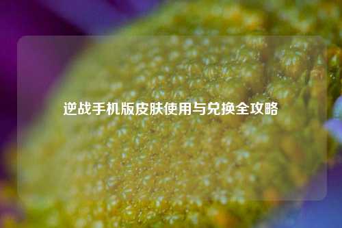 逆战手机版皮肤使用与兑换全攻略