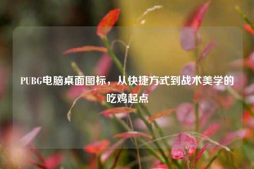 PUBG电脑桌面图标,从快捷方式到战术美学的吃鸡起点