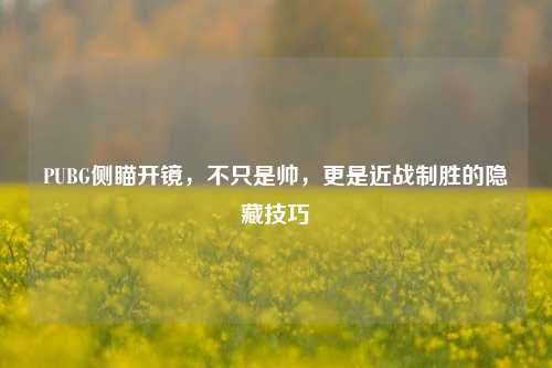 PUBG侧瞄开镜,不只是帅,更是近战制胜的隐藏技巧