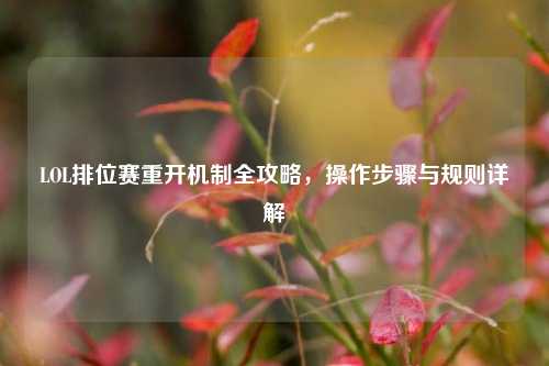 LOL排位赛重开机制全攻略,操作步骤与规则详解
