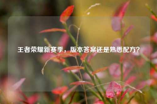 王者荣耀新赛季,版本答案还是熟悉配方?