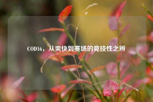 COD16,从爽快到赛场的竞技性之辨