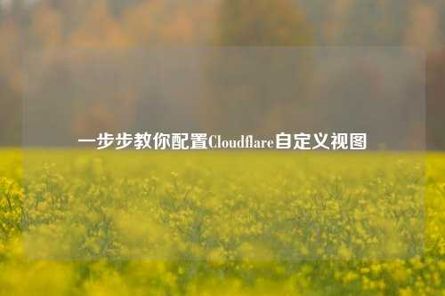 一步步教你配置Cloudflare自定义视图