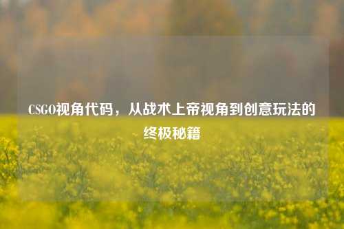 CSGO视角代码,从战术上帝视角到创意玩法的终极秘籍