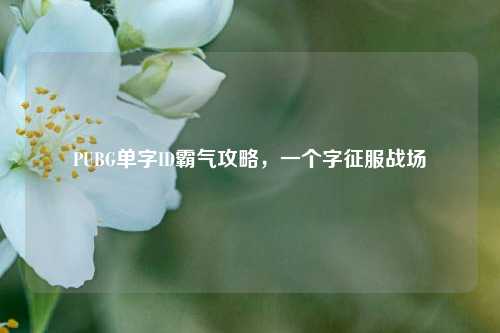 PUBG单字ID霸气攻略,一个字征服战场