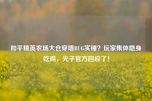 和平精英农场大仓穿墙BUG实锤?玩家集体隐身吃鸡,光子官方回应了!