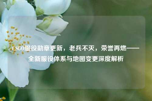 CSGO服役勋章更新,老兵不灭,荣誉再燃——全新服役体系与地图变更深度解析