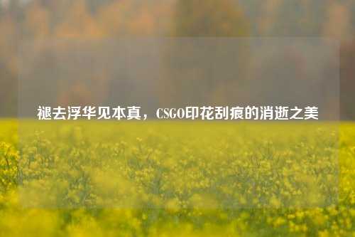 褪去浮华见本真,CSGO印花刮痕的消逝之美