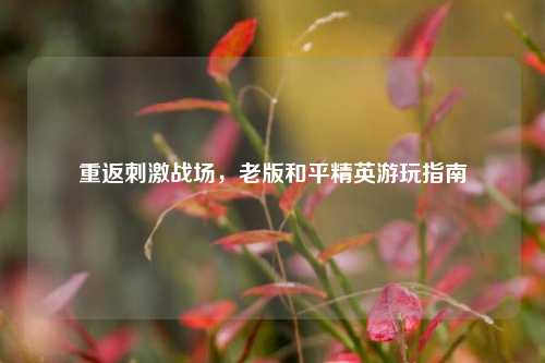 重返刺激战场,老版和平精英游玩指南