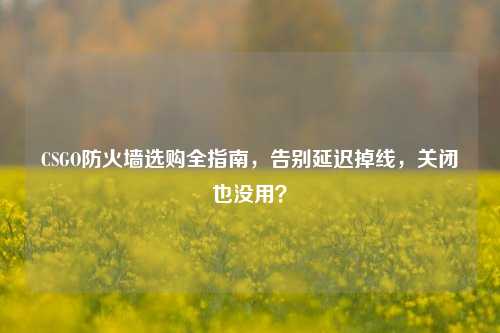 CSGO防火墙选购全指南,告别延迟掉线,关闭也没用?