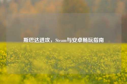 斯巴达进攻,Steam与安卓畅玩指南