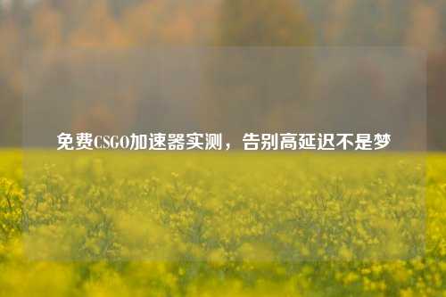 免费CSGO加速器实测,告别高延迟不是梦