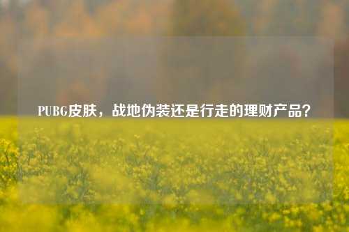 PUBG皮肤,战地伪装还是行走的理财产品?