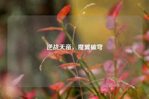 逆战天帝,魔翼破穹