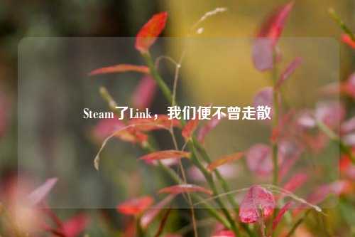 Steam了Link,我们便不曾走散