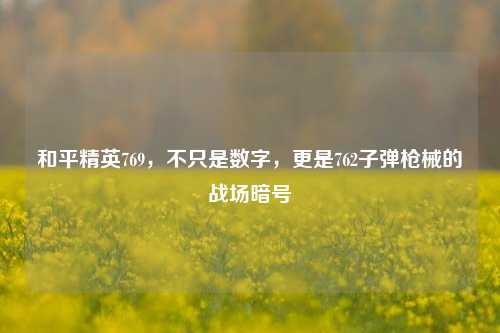 和平精英769,不只是数字,更是762子弹枪械的战场暗号