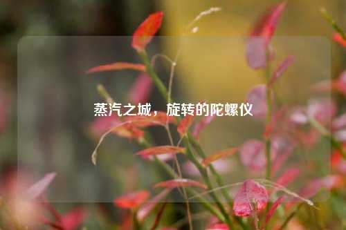 蒸汽之城，旋转的陀螺仪