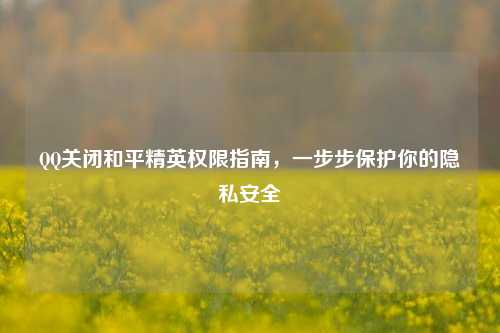 QQ关闭和平精英权限指南,一步步保护你的隐私安全