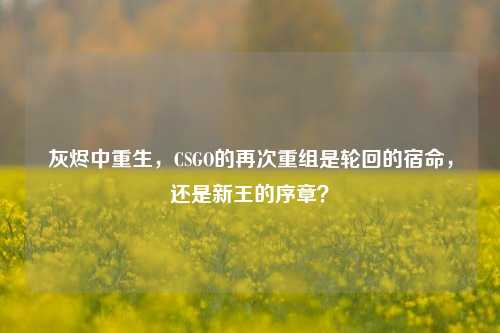 灰烬中重生,CSGO的再次重组是轮回的宿命,还是新王的序章?
