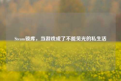 Steam锁库,当游戏成了不能见光的私生活