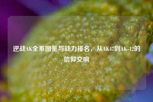 逆战AK全系图鉴与战力排名,从AK47到AK-12的信仰交响