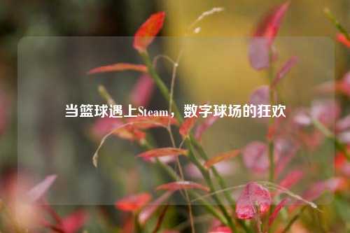 当篮球遇上Steam,数字球场的狂欢