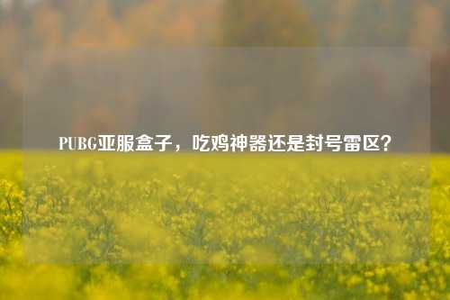 PUBG亚服盒子,吃鸡神器还是封号雷区?