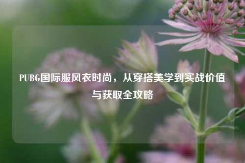 PUBG国际服风衣时尚,从穿搭美学到实战价值与获取全攻略