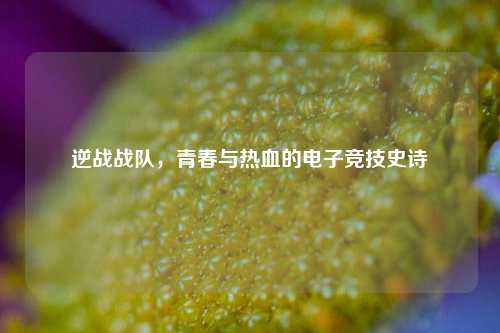 逆战战队,青春与热血的电子竞技史诗