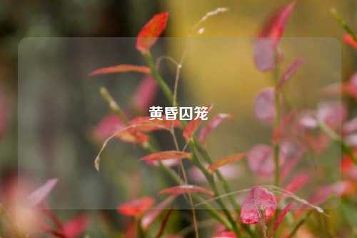 黄昏囚笼
